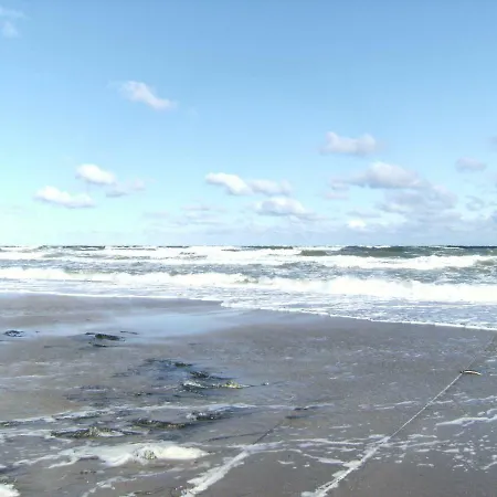Stranddistel